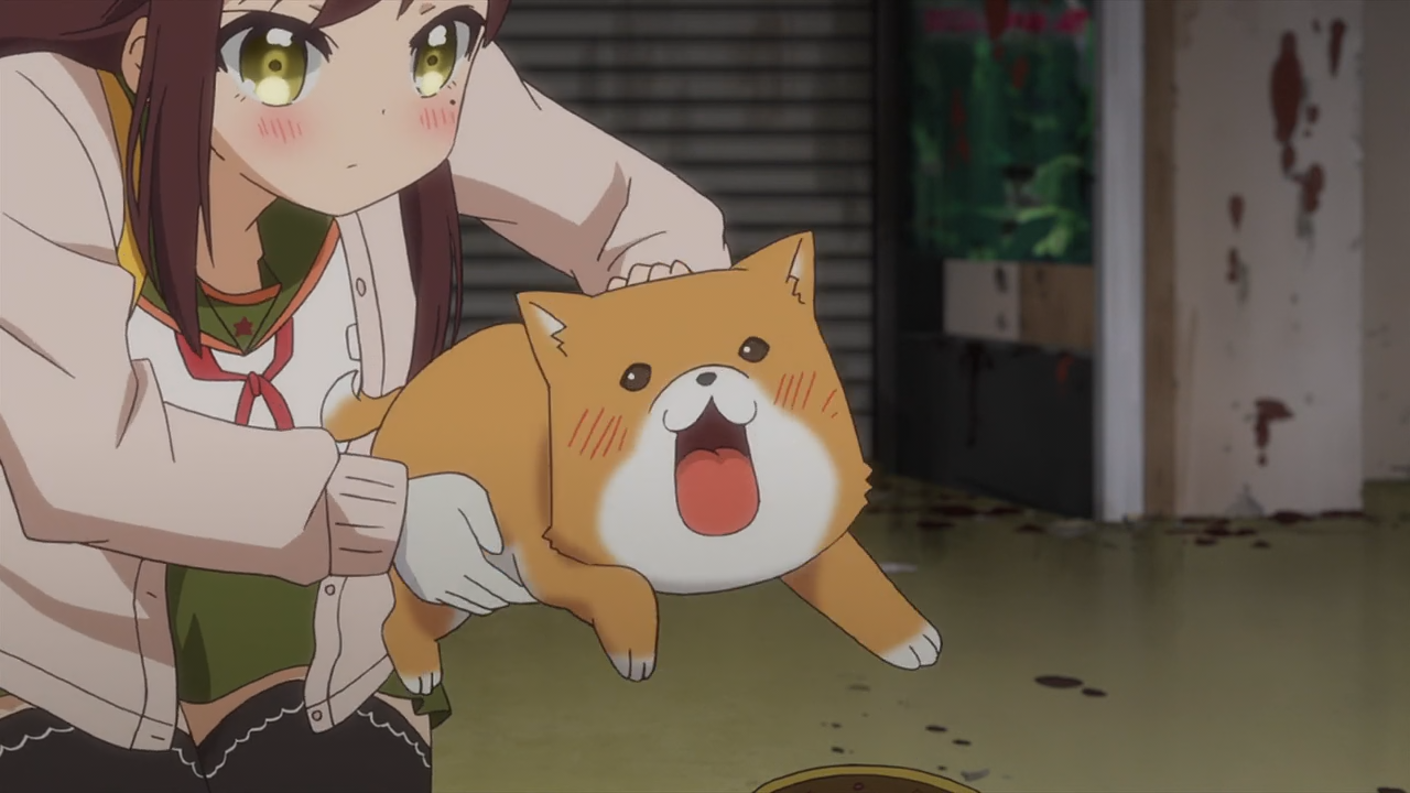 Gakkou Gurashi! (AniHenjin Fansub)